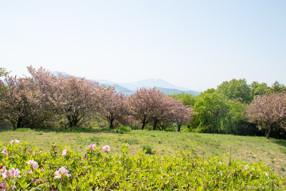 富谷山ふれあい公園から見る景色